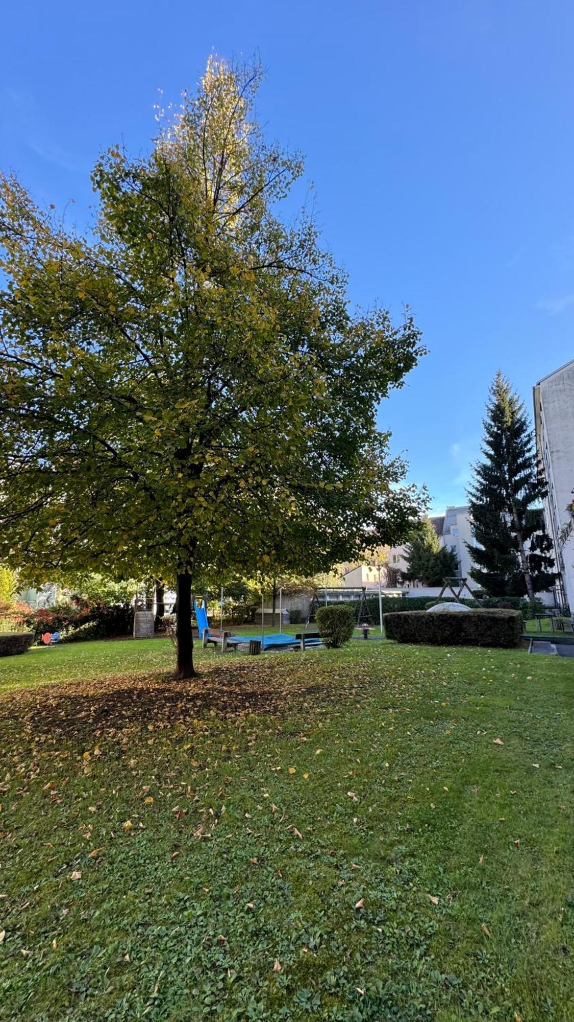 City Apartement Linz Fuer 5 Gaeste Mit Self-Checkin Und Kueche Exterior foto